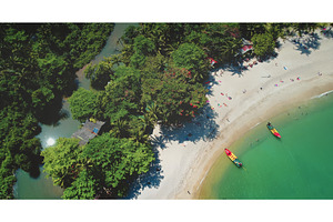 Tropical beach meeting lush jungle, a Holiday Photo by Goinyk