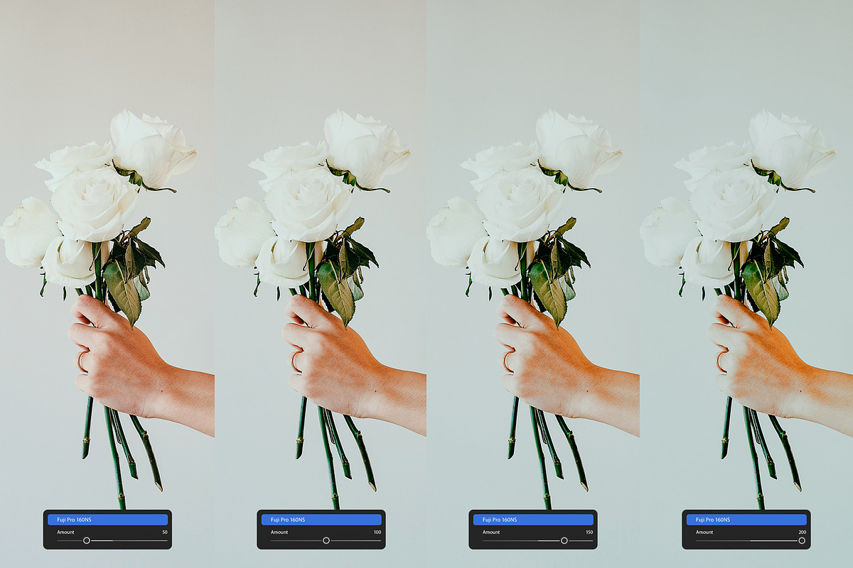 Fuji Pro 160NS — Lightroom, a Preset Add-On by colorituals (Photo 2 of 8)