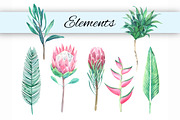 King protea. Watercolor clip art., an Illustration by Anyuka (Thumbnail 2 of 4)