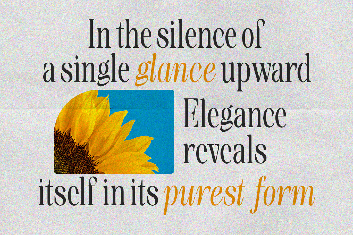 Sinclair Pro Obsession | 12 Font, a Serif Font by Natural Ink Studio (Photo 5 of 17)