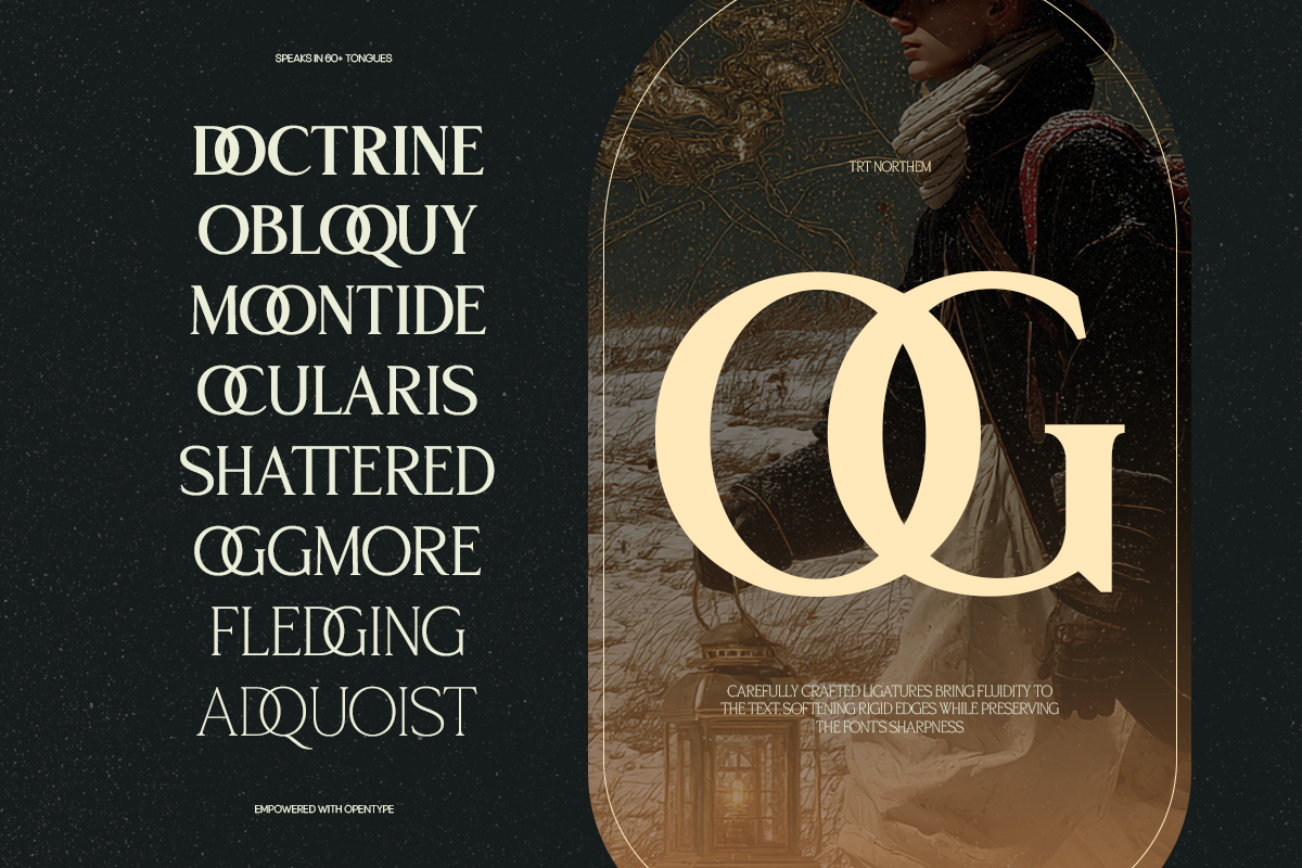 TRT Northem – Elegant Serif Font, a Serif Font by truetype (Photo 5 of 15)
