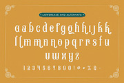 Allergic - Vintage Font, a Blackletter Font by Viswal Studio (Thumbnail 5 of 6)