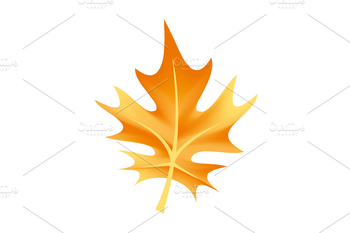 A Vibrant Autumn Maple Leaf, an Illustration by Things for designers