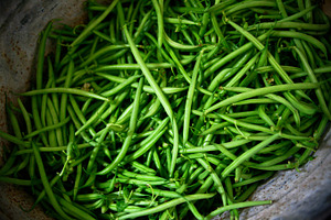 Green beans stock photo containing green and beans