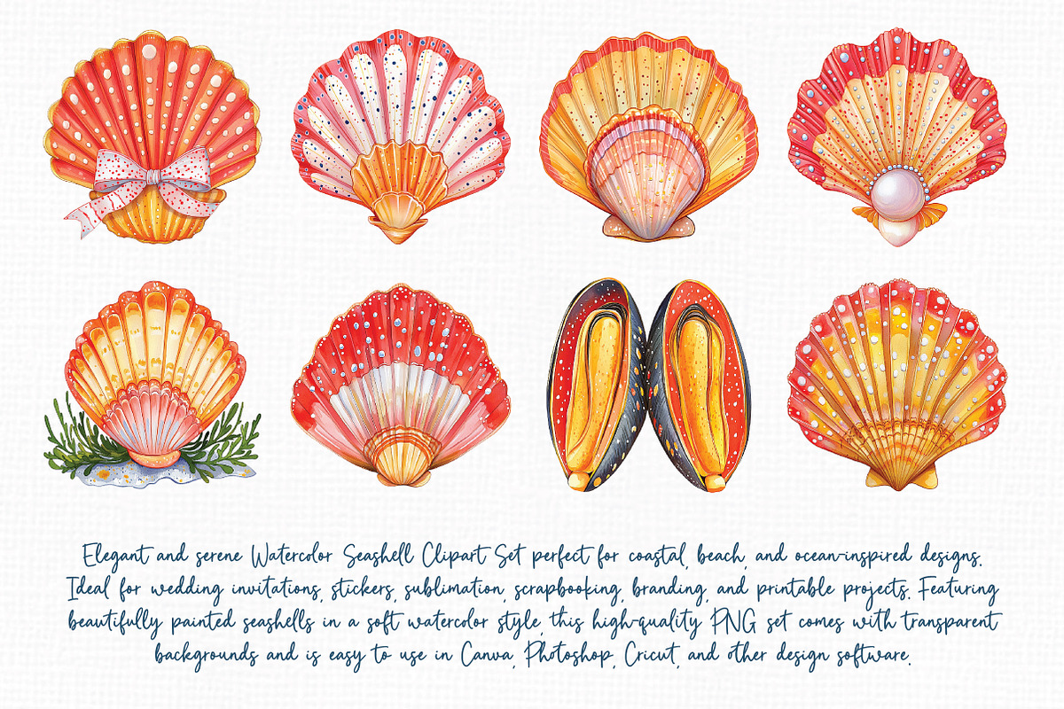 Watercolor Seashell Clipart Set, an Illustration by Libby Wishes (Photo 2 of 7)
