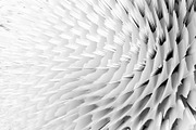 Boreal | 35 Abstract Backgrounds, a Texture Graphic by MDG (Thumbnail 17 of 24)