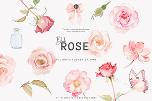 Watercolor June Flower Clipart Set, a Decorative Illustration by Patishop Art
