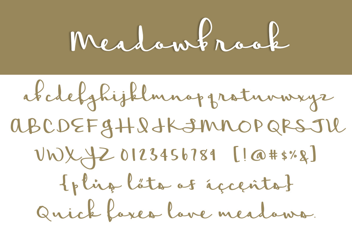 Meadowbrook preview 3