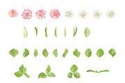 Vector object brushes. Clover, a Brush Add-On by Peolla (Thumbnail 8 of 14)
