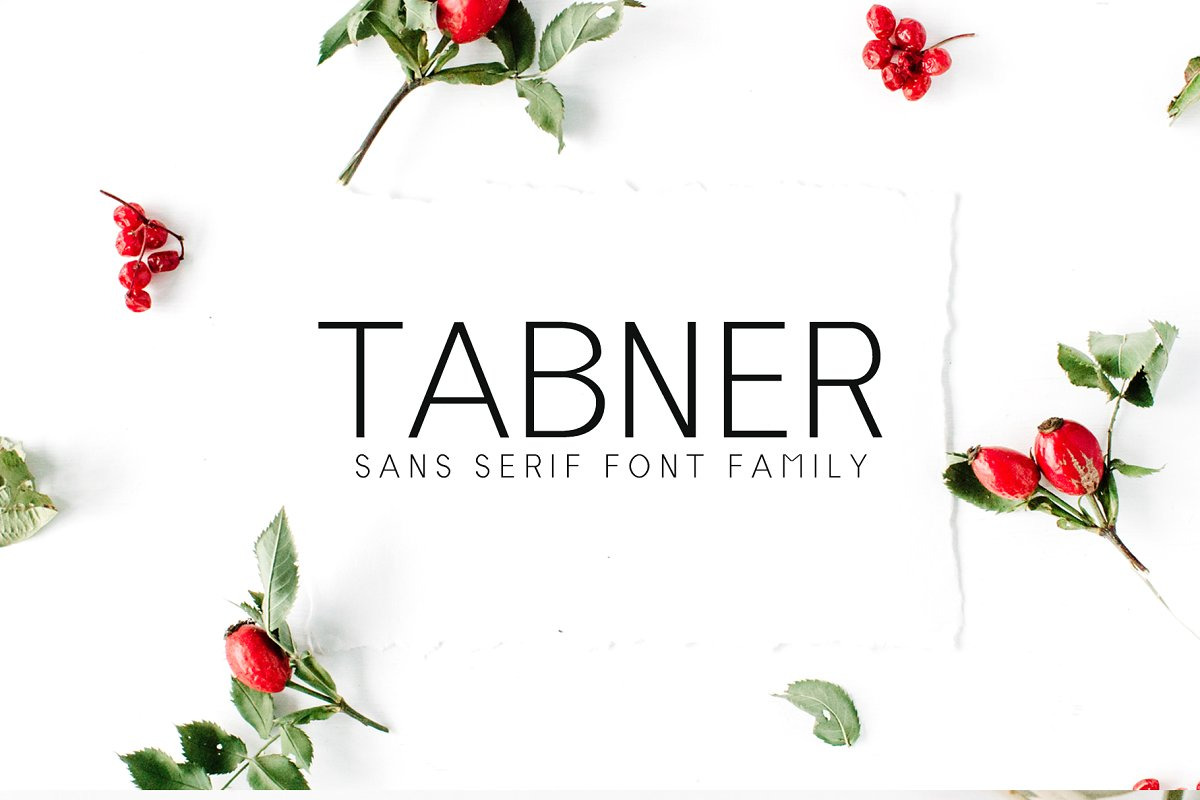 Designer's Type - Sans Serif Bundle!, a Sans Serif Font by Creativetacos (Photo 26 of 36)