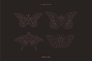 Celestial Moth & Butterfly Vectors, an Illustration by Minimal Marks (Thumbnail 3 of 5)