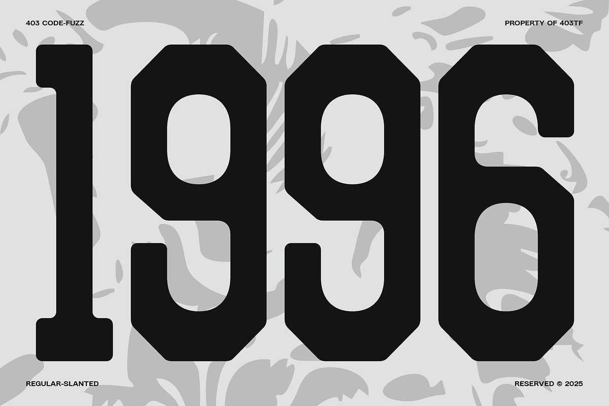 403 Code Fuzz, a Sans Serif Font by 403 Type Foundry (Photo 2 of 18)