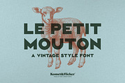 Le Petit Mouton, a Sans Serif Font by Komet & Flicker (Thumbnail 1 of 13)