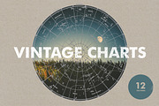 Vintage Charts - 12 Vectors & PNGs, an Object Graphic by Offset (Thumbnail 1 of 5)