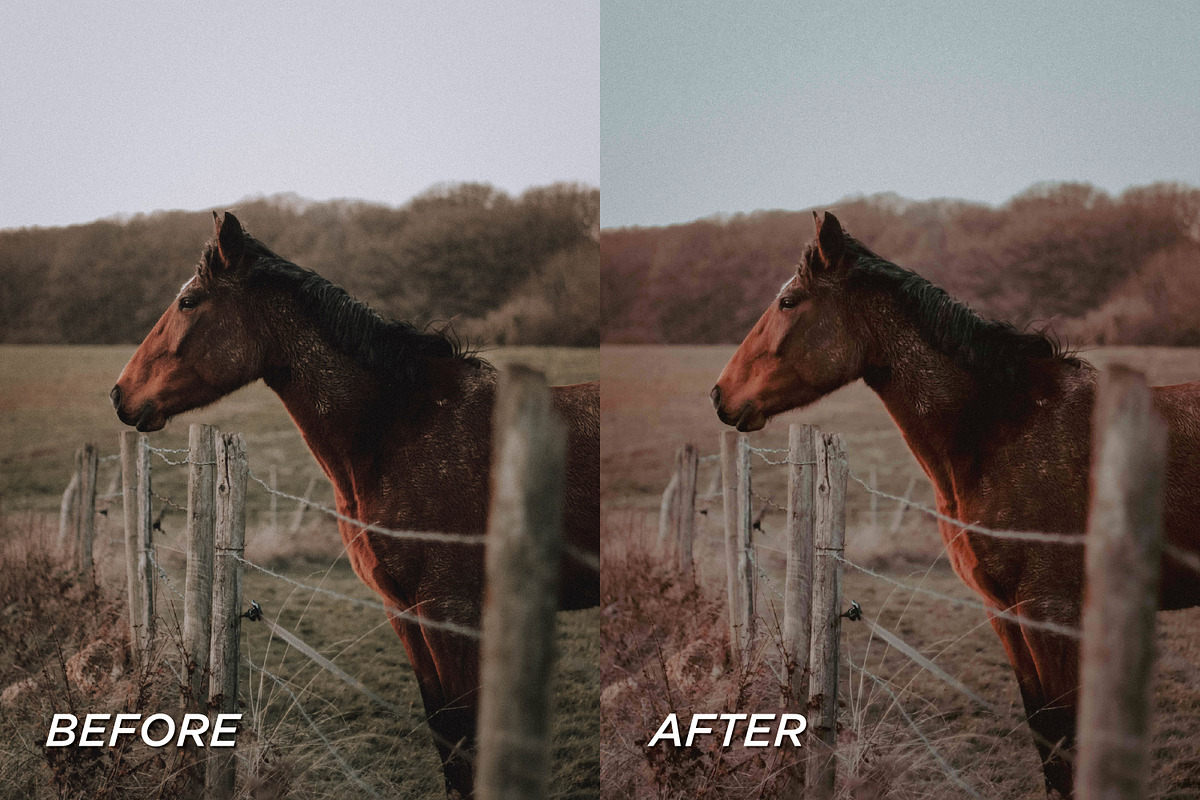 15 Fall Lightroom Presets, a Preset Add-On by TheWayfarerShoppe (Photo 6 of 8)