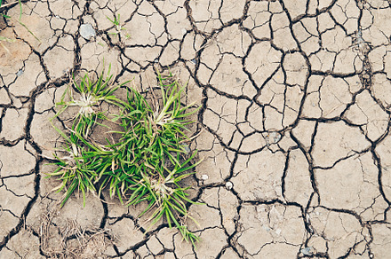 Background stock photo containing ground and dry, an Abstract Photo by Pabkov
