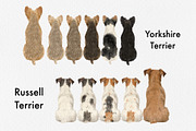 Watercolor Small Dog Breeds, an Animal Illustration by ColorfulPT (Thumbnail 5 of 8)