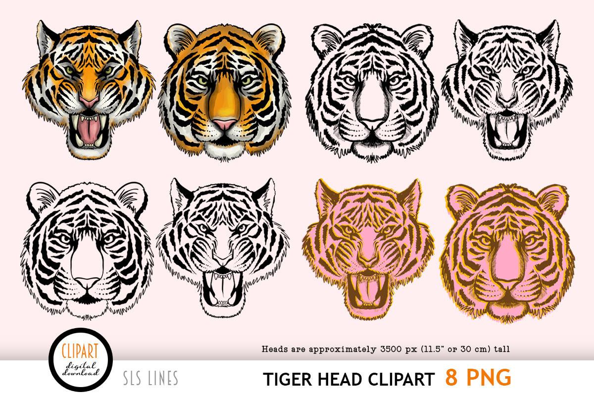 Tiger Clipart & Lineart PNGs, an Animal Illustration by SLS Lines (Photo 2 of 7)