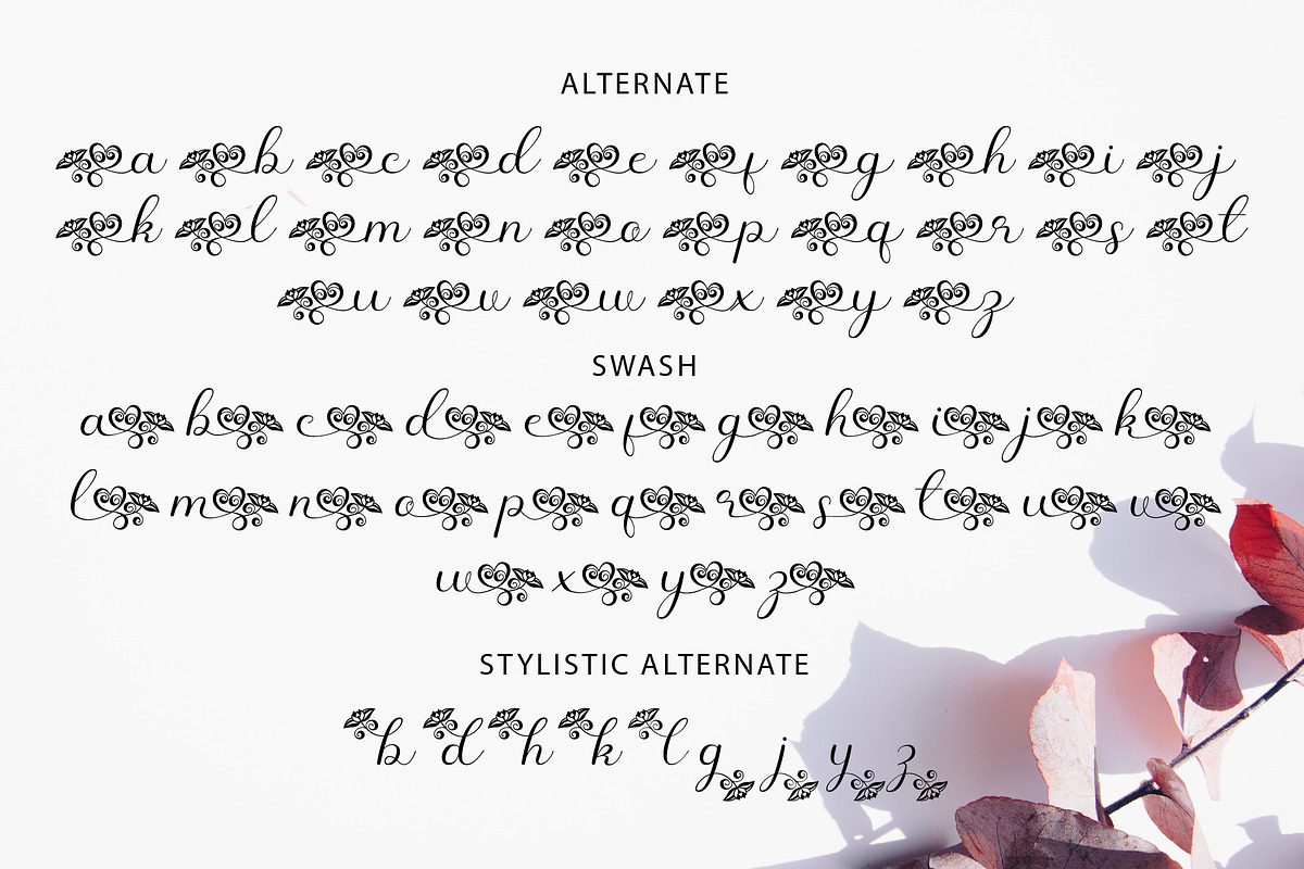 Flower Script Font, a Script Font by Densu Creative (Photo 9 of 9)