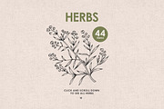 Herbs, Spices, Nuts. Hand drawn set., a Decorative Illustration by Chelovector (Thumbnail 2 of 4)