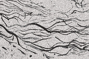 Twisted by Nature Vol 3, a Texture Graphic by Jennifer Lauren Creative (Thumbnail 6 of 16)