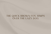 Melion, a Serif Font by OWL KING (Thumbnail 3 of 13)