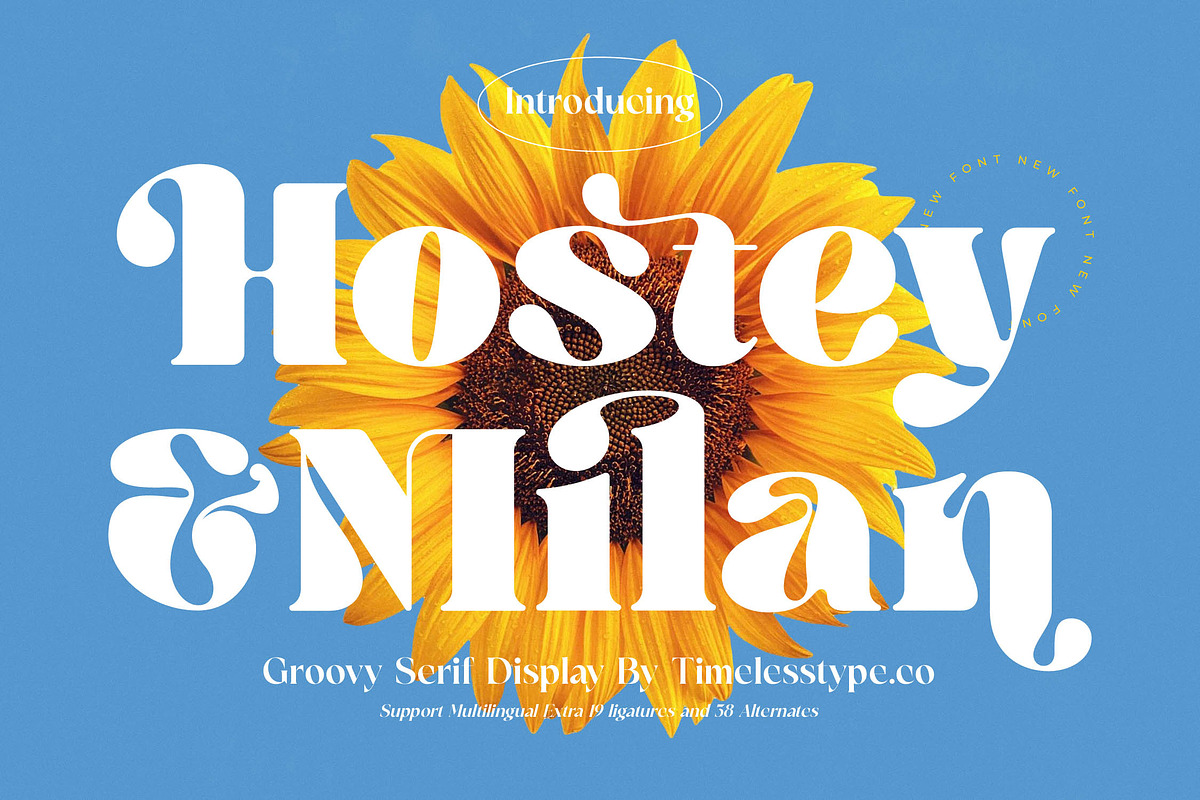 Hostey & Milan Groovy Serif, a Serif Font by timelesstype.co (Photo 1 of 20)