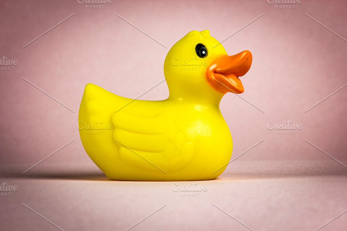 Happy Farm Animals, an Animal Photo by Compositor's Corner (Photo 4 of 5)