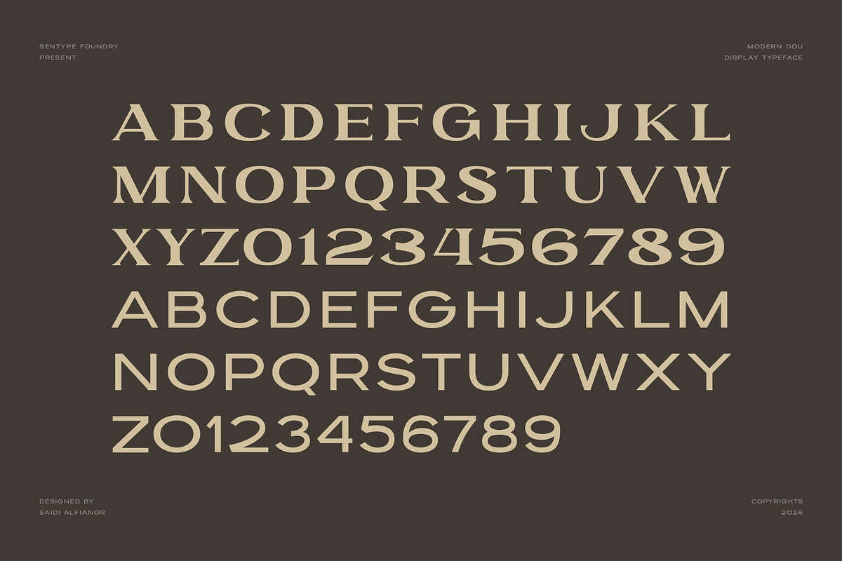 GARLEUX Duo Display Font, a Serif Font by sentype (Photo 4 of 8)