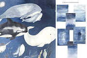 WHALES watercolor collection, an Animal Illustration by OlliArtDesign (Thumbnail 5 of 9)
