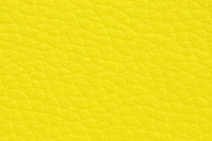 Yellow Leather