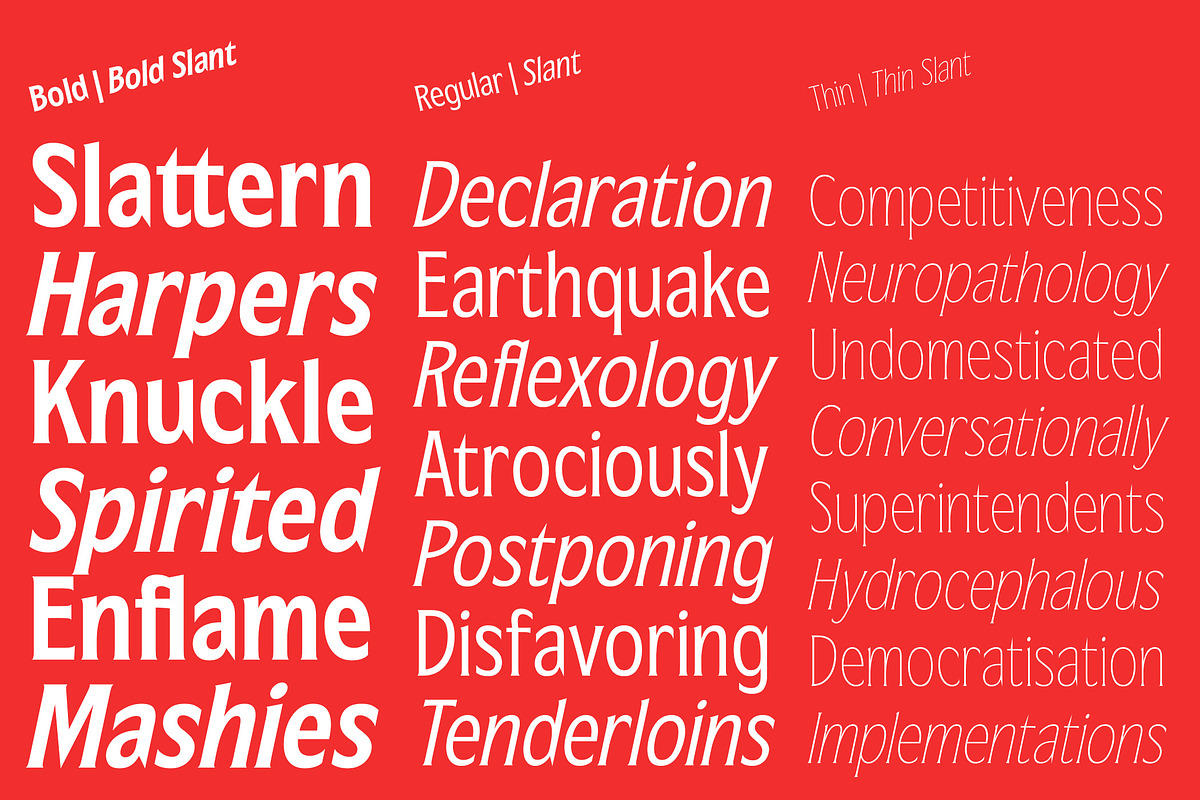 Republish Variable Font, a Serif Font by Abda Laka (Photo 16 of 21)