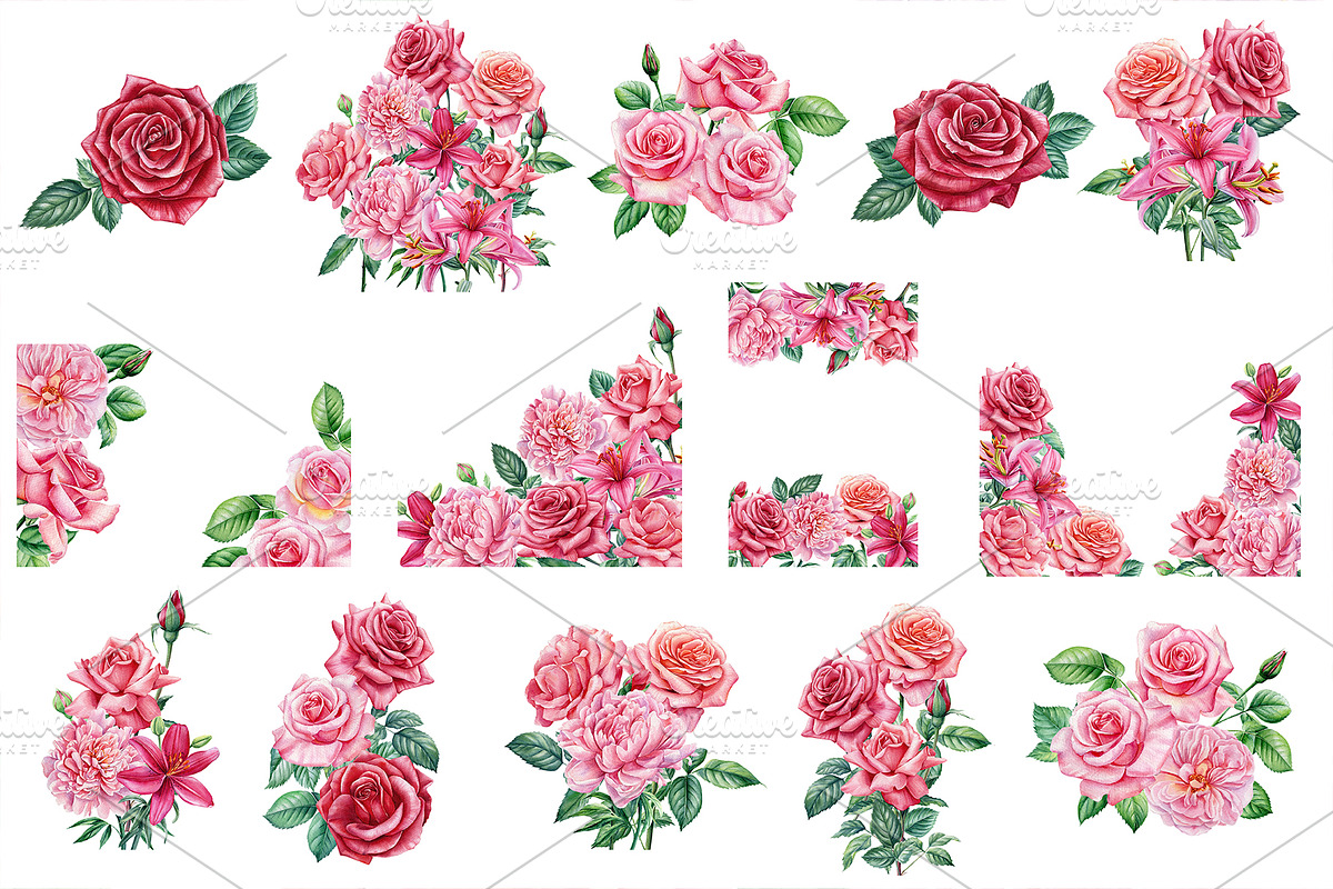 Garden Flowers hand drawn watercolor, a Decorative Illustration by Hanna Hryharenka (Photo 9 of 16)
