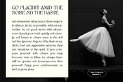 TAN - WAVERLY, a Serif Font by TanType (Thumbnail 14 of 22)