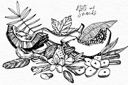 Nuts and snacks, a Food Illustration by Ann Astro (Thumbnail 3 of 24)