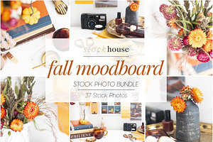 Fall Moodboard Stock Photo Bundle