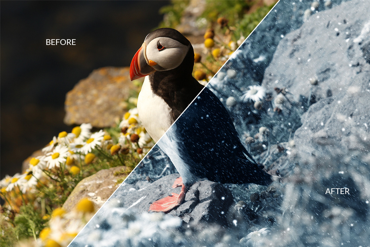 Snow Photoshop Action, an Action Add-On by DESIGNAVO (Photo 5 of 5)