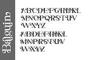Balguin, a Serif Font by Muksal Creative (Thumbnail 8 of 9)