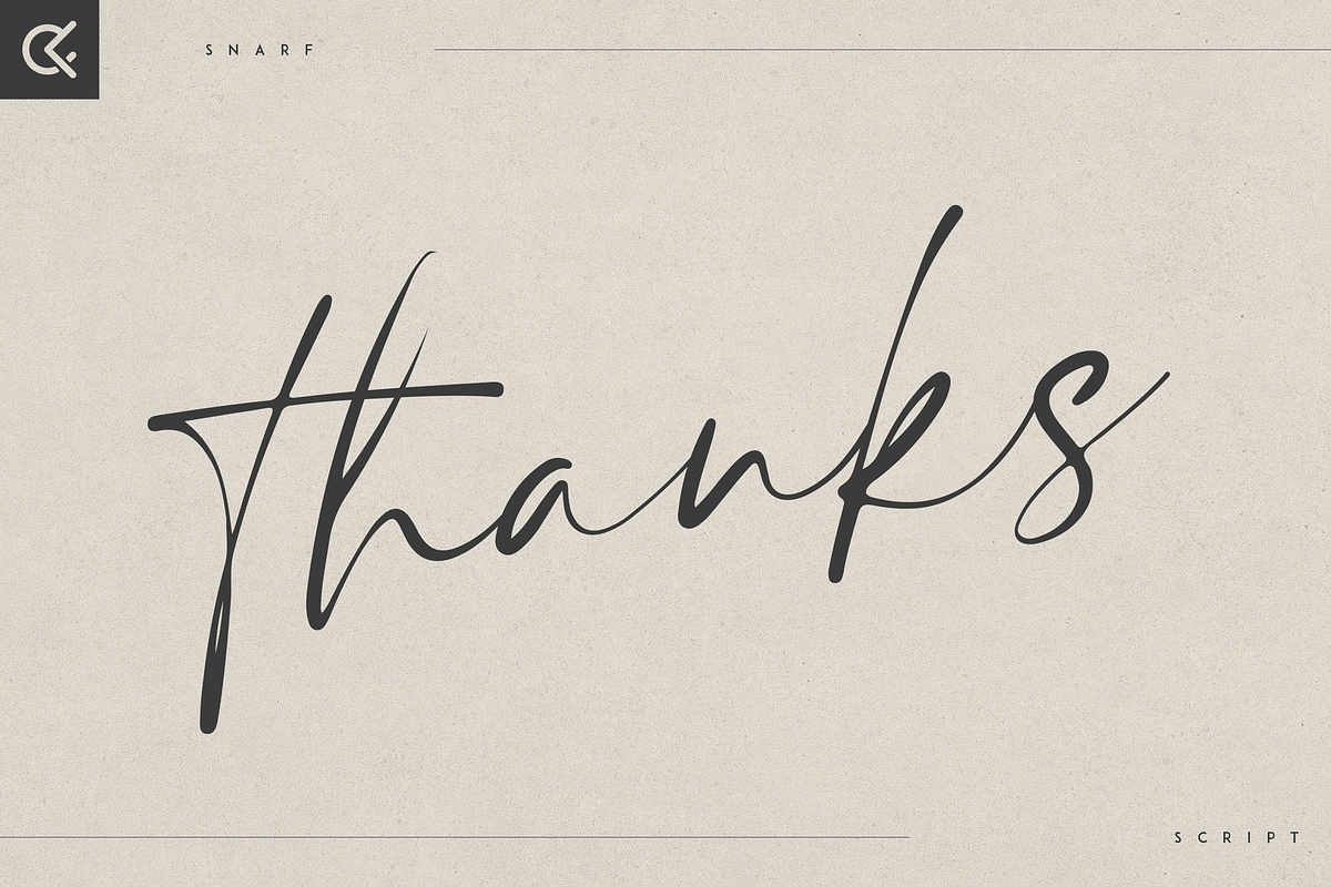 Snarf modern script, a Script Font by Only Fonts (Photo 10 of 10)