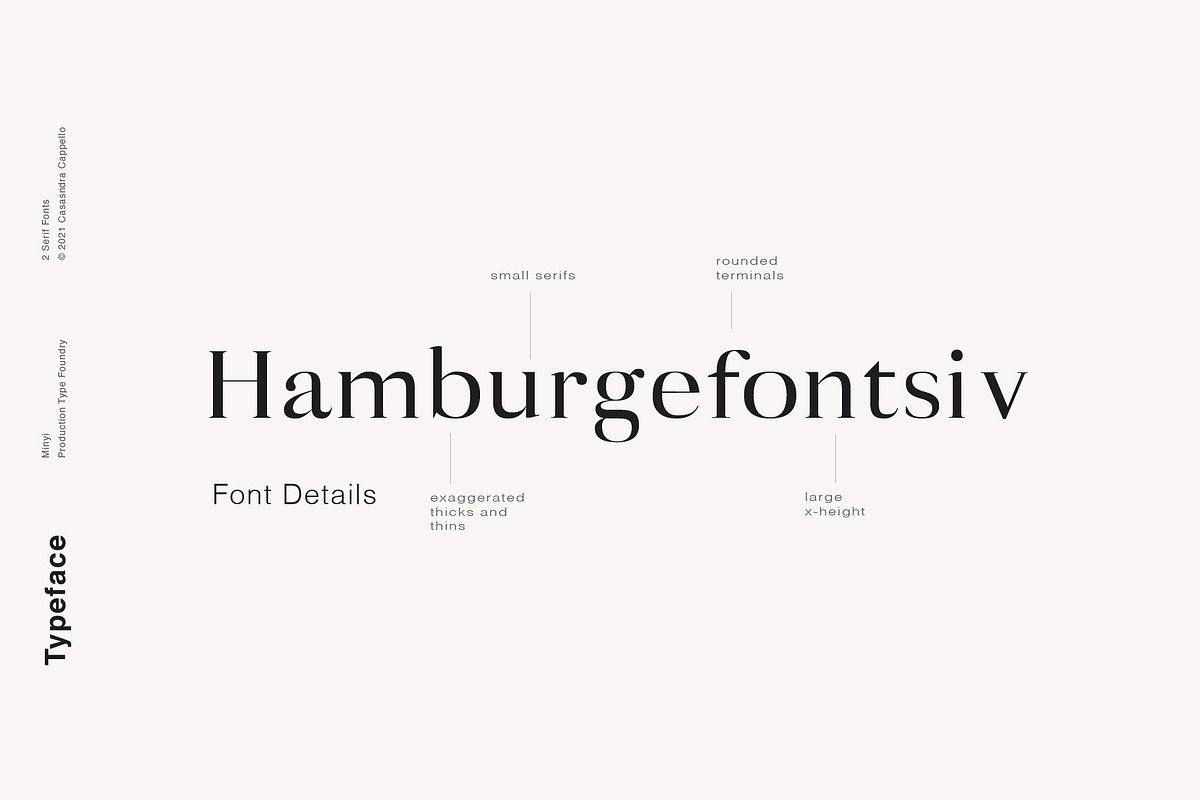 Minyi - A Feminine Serif Typeface, a Serif Font by Cassandra Cappello (Photo 3 of 5)