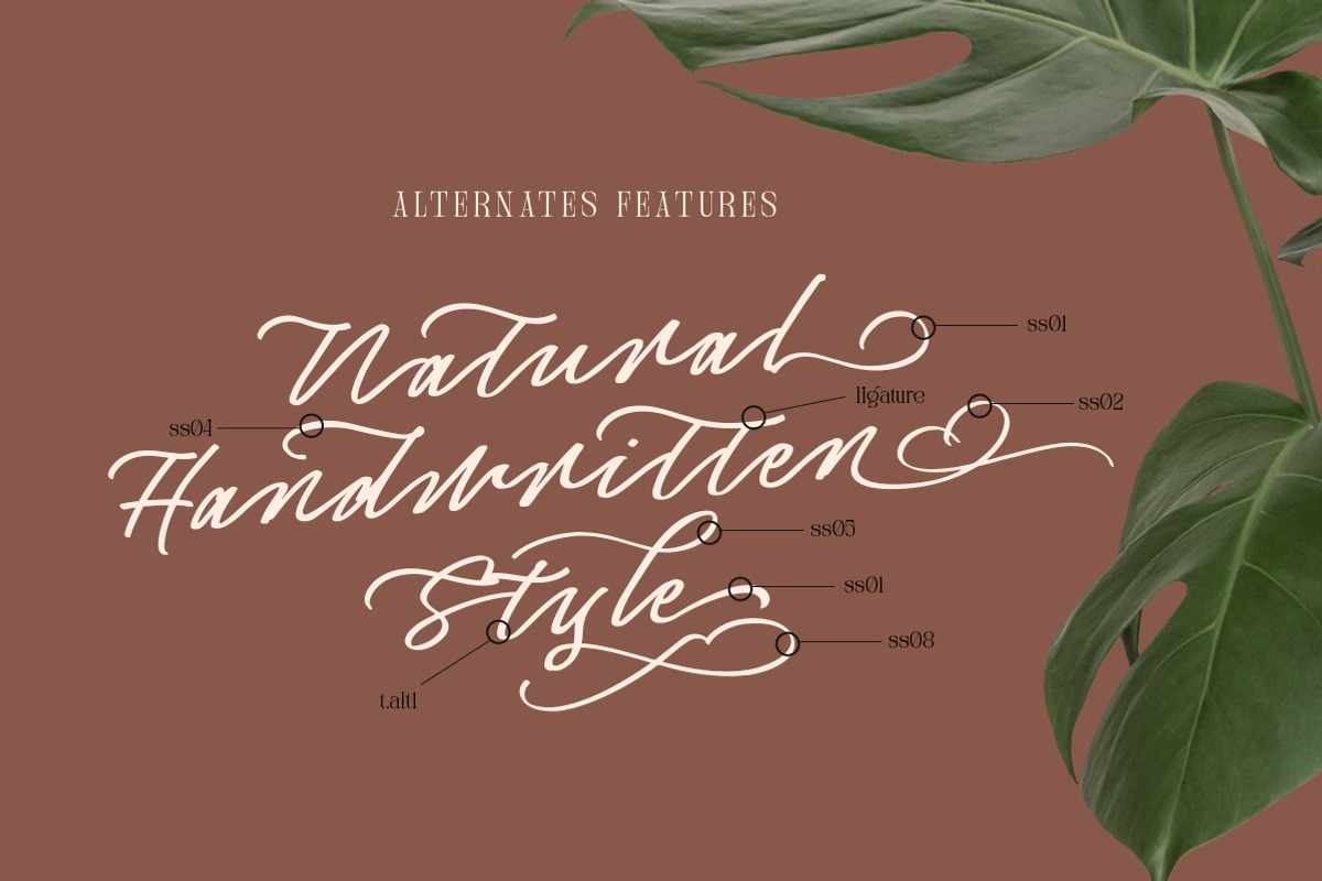 Captivate Script, a Script Font by Letterhend Studio (Photo 7 of 9)