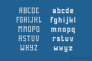 Brassie Family, a Slab Serif Font by Fresh Pressed Fonts (Thumbnail 3 of 5)