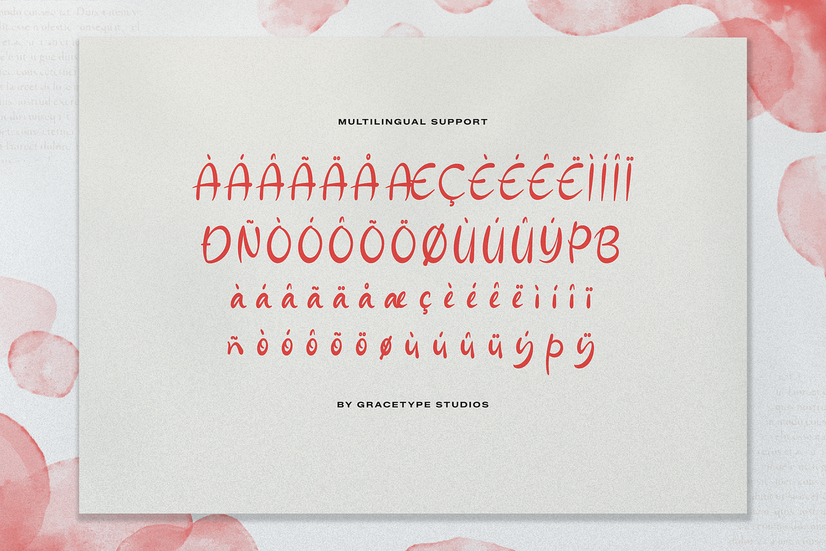 Ferdan Ligate Modern Ligature Script, a Script Font by gracetype_studio (Photo 11 of 12)