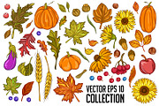 Hello Autumn Collection, a Decorative Illustration by VioSilent (Thumbnail 2 of 10)