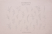 Botanical leaves - sketched florals, a Decorative Illustration by Madiwaso (Thumbnail 3 of 14)