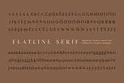 Flatline Serif Complete - 16 fonts, a Serif Font by Up Up Creative (Thumbnail 11 of 13)
