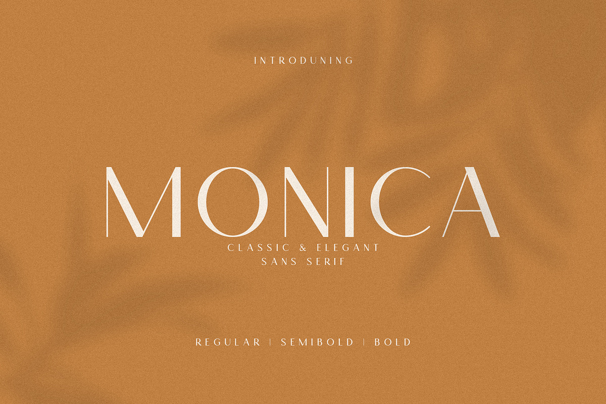 Monica - Classic & Elegant Sans, a Sans Serif Font by Mikhail Fukurou (Photo 9 of 12)