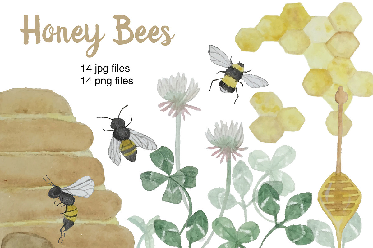Watercolor Honey Bees, an Illustration by Valeri Nick (Photo 1 of 3)