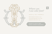 Wedding Monograms fonts set, a Serif Font by kaer_shop (Thumbnail 4 of 10)