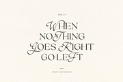 Brown Royal - Stylish Ligature Font, a Serif Font by Sarid Ezra (Thumbnail 2 of 9)